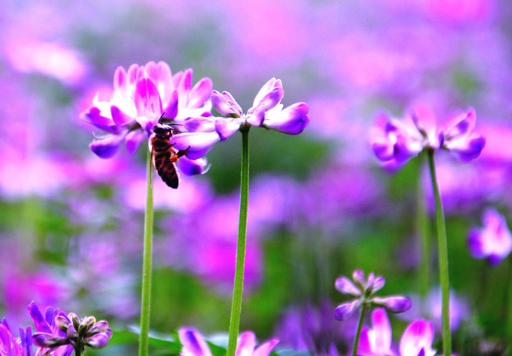 1635488441766440.jpg 2.jpg