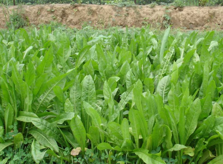 1635578307337285.jpg 1635578307337285.jpg