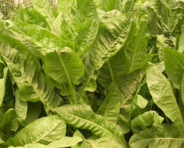 1635578322461809.jpg 1635578322461809.jpg