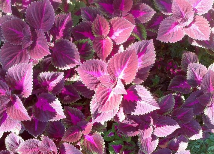 1635578952460448.jpg 1635578952460448.jpg