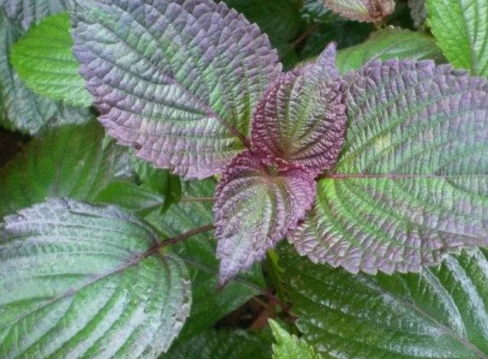 1635578972592963.jpg 1635578972592963.jpg