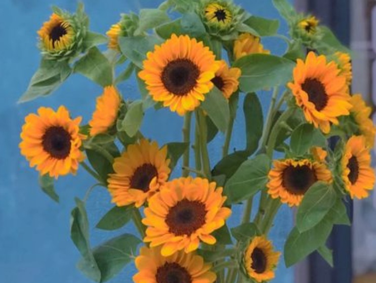 1635579854461346.jpg 2.jpg