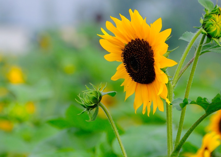 1635741320788431.jpg 1635741320788431.jpg