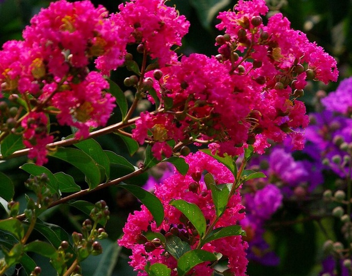 1635742572356953.jpg 1635742572356953.jpg