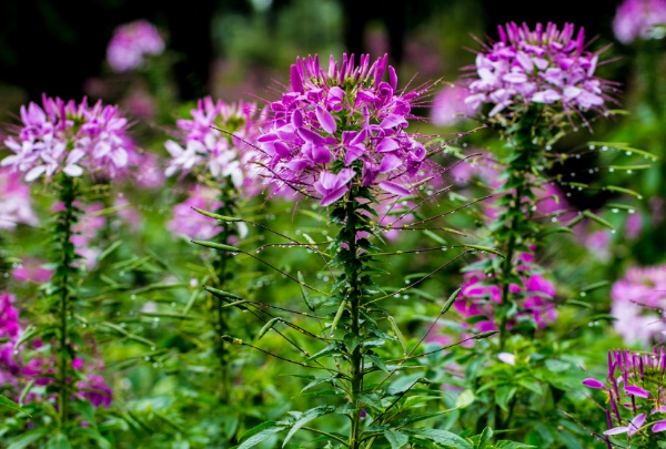 1635824319961208.jpg image.jpg