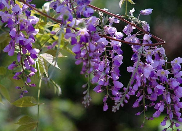 1635826796774559.jpg image.jpg