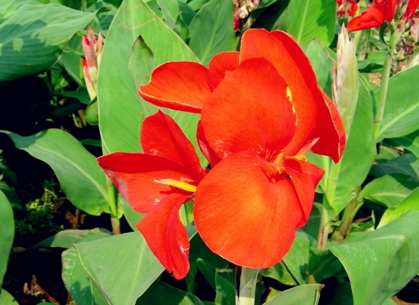 1635827644748754.jpg image.jpg