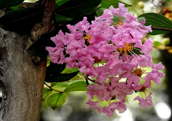 1635828244961383.jpg image.jpg