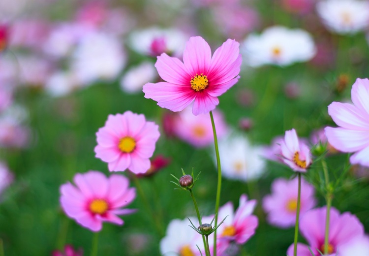 1635912615150892.jpg 1635912615150892.jpg