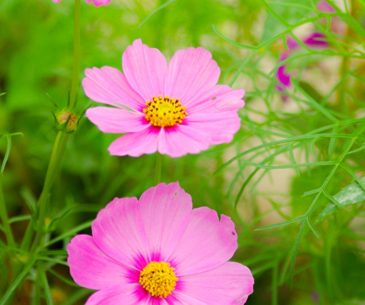 1635912629838293.jpg 1635912629838293.jpg