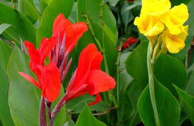 1635939906501881.jpg 1635939906501881.jpg