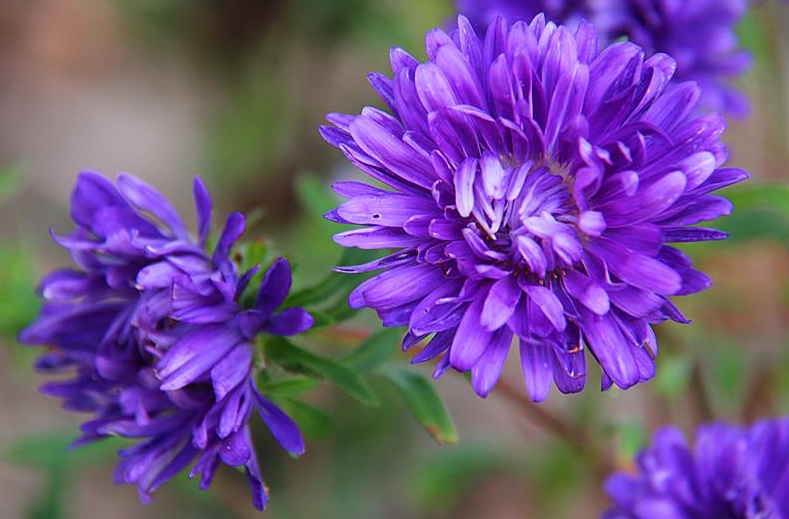 1635955332572750.jpg 1635955332572750.jpg