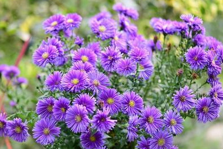 1635955380128950.jpg 1635955380128950.jpg