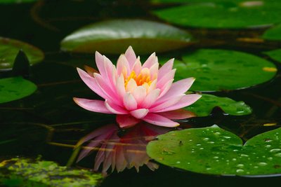 1636281430889176.jpg 1636281430889176.jpg