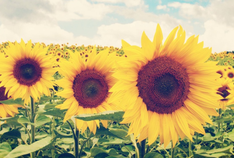 1636296047434790.jpg 1636296047434790.jpg