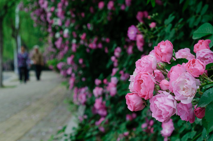 1636367632291978.jpg 1636367632291978.jpg