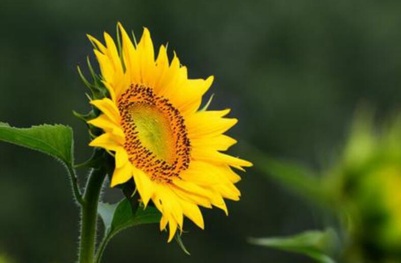 1636617361393039.jpg 1636617361393039.jpg