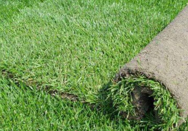 1636643122643729.jpg 1636643122643729.jpg