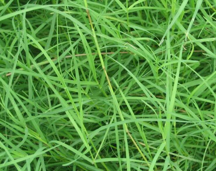 1636643143872528.jpg 1636643143872528.jpg