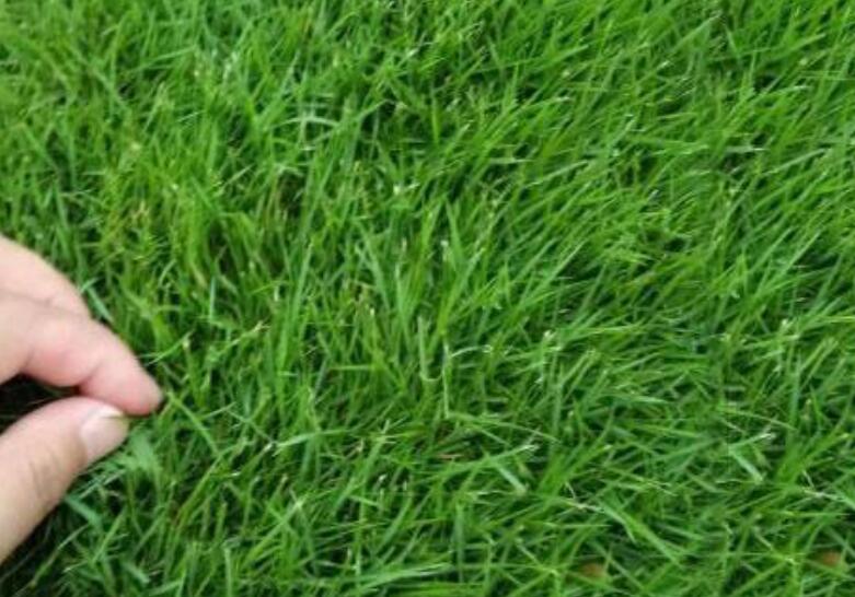 1636643167500919.jpg 1636643167500919.jpg