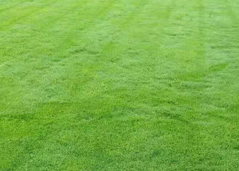 1636643852948135.jpg 1636643852948135.jpg