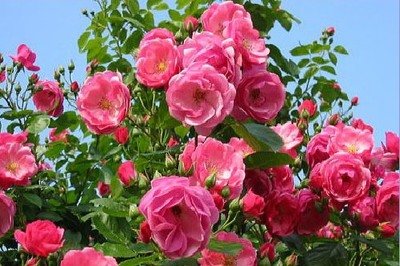 1636708853969697.jpg 1636708853969697.jpg