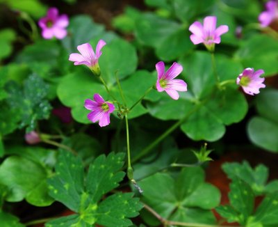 1636709337219306.jpg 1636709337219306.jpg