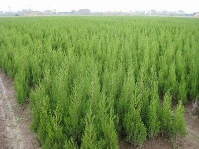 1636975008476533.jpg 1636975008476533.jpg