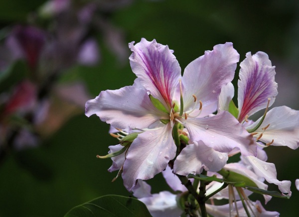 1636978970718088.jpg image.jpg