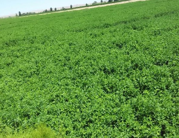 1637020830249394.jpg image.jpg