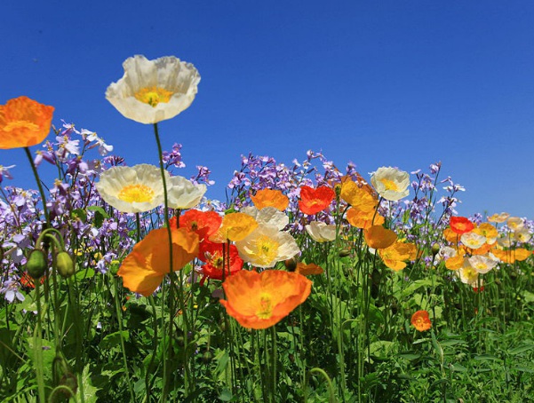 1637021607919970.jpg image.jpg