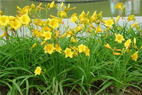 1637058123802546.jpg 1637058123802546.jpg