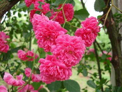 1637058714864076.jpg 1637058714864076.jpg