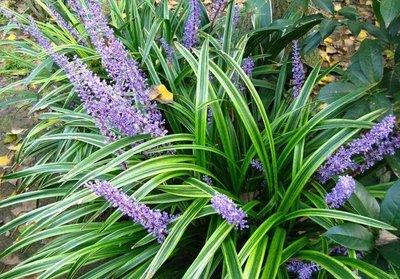 1637144753903812.jpg 1637144753903812.jpg