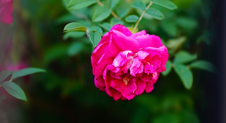 1637230005864549.jpg 1637230005864549.jpg