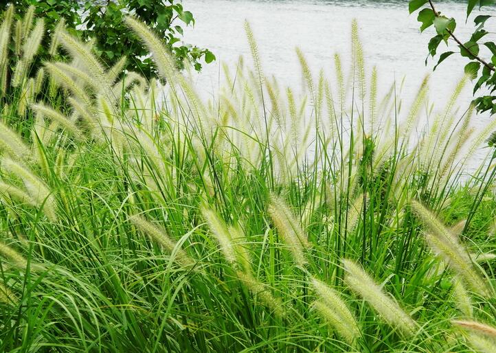 1637304253692861.jpg 1637304253692861.jpg