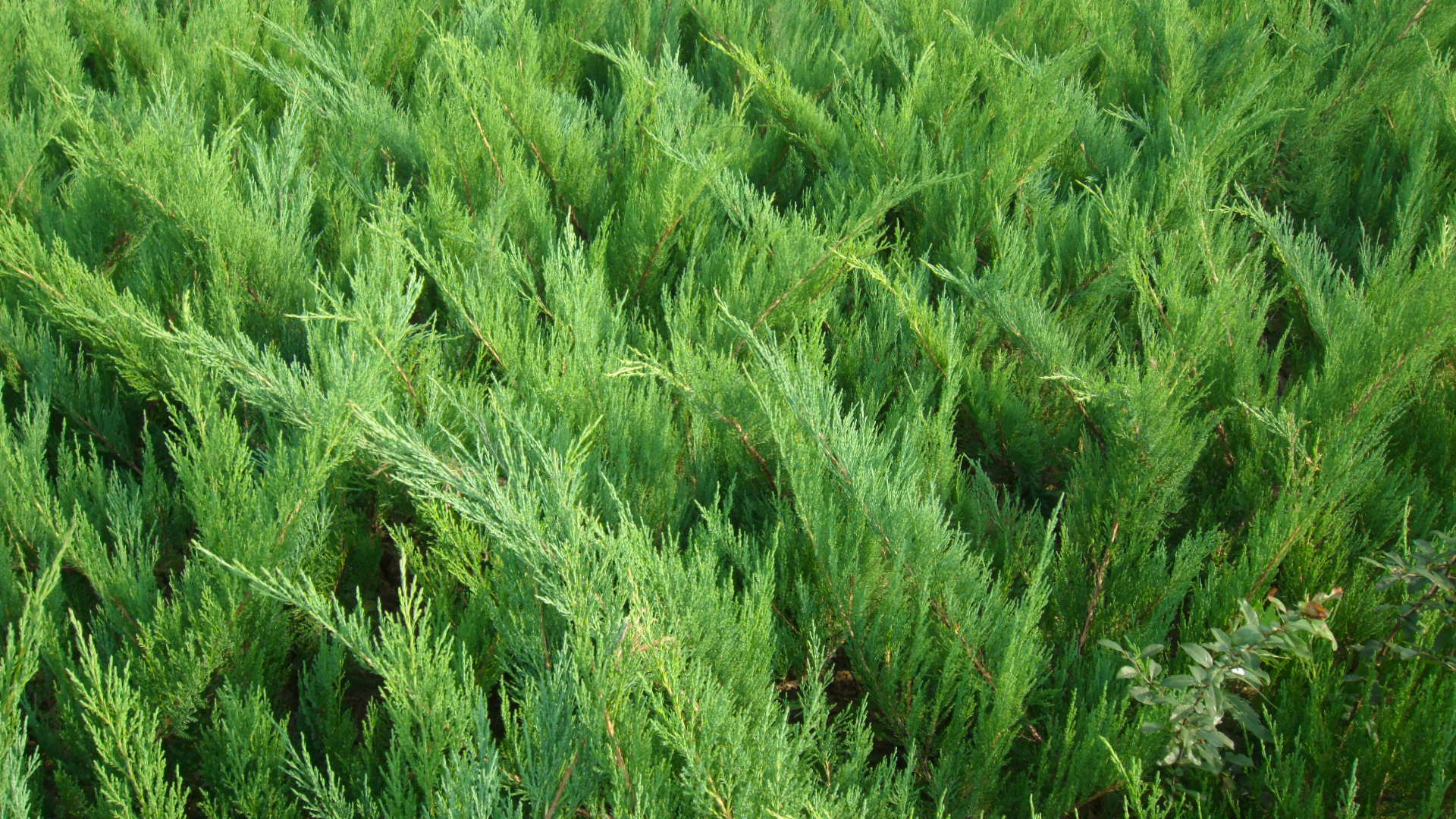 1637374424800257.jpg 1637374424800257.jpg