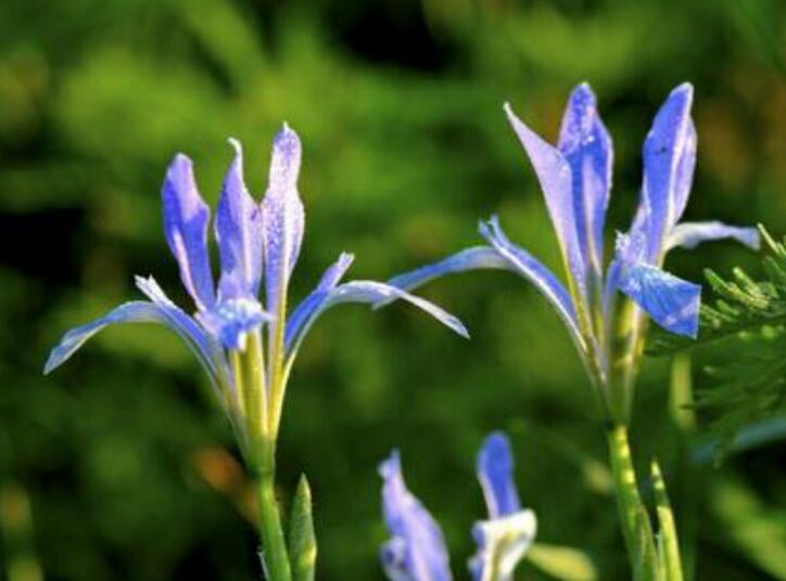 1637827890512602.jpg 1637827890512602.jpg