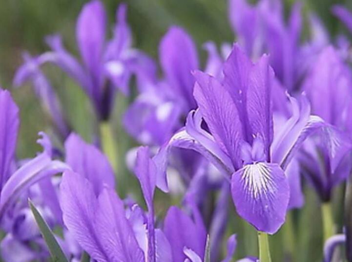 1637827907606519.jpg 1637827907606519.jpg