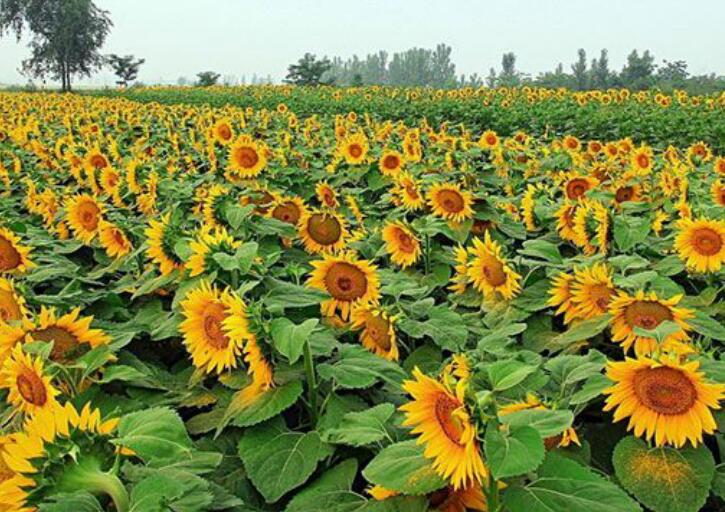 1637850355956397.jpg 1637850355956397.jpg