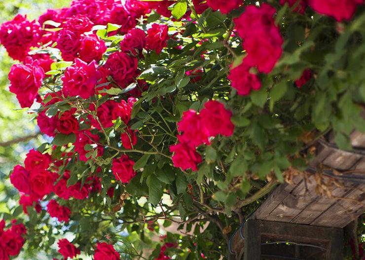 1637936244183462.jpg 1637936244183462.jpg