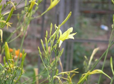 1638096952673017.jpg 1638096952673017.jpg