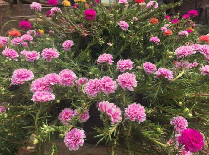 1638246784788253.jpg 1638246784788253.jpg