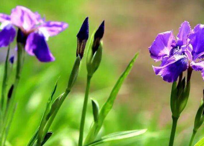 1638424057738345.jpg 1638424057738345.jpg