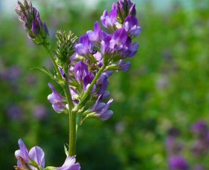 1638718132756064.jpg 1638718132756064.jpg