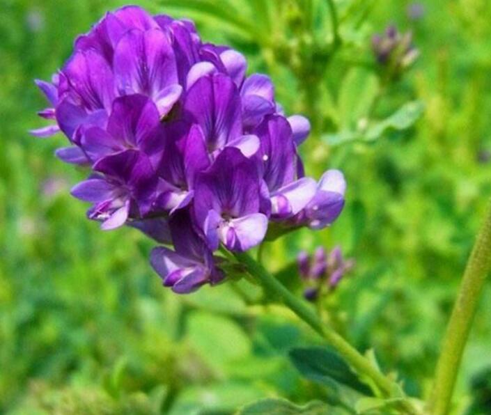 1638718147463335.jpg 1638718147463335.jpg