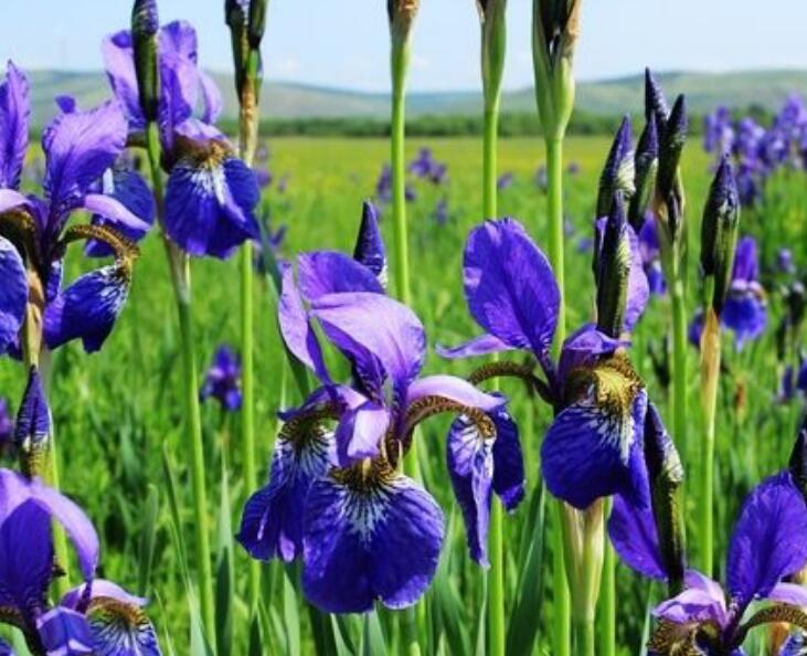 1638774236843950.jpg 1638774236843950.jpg