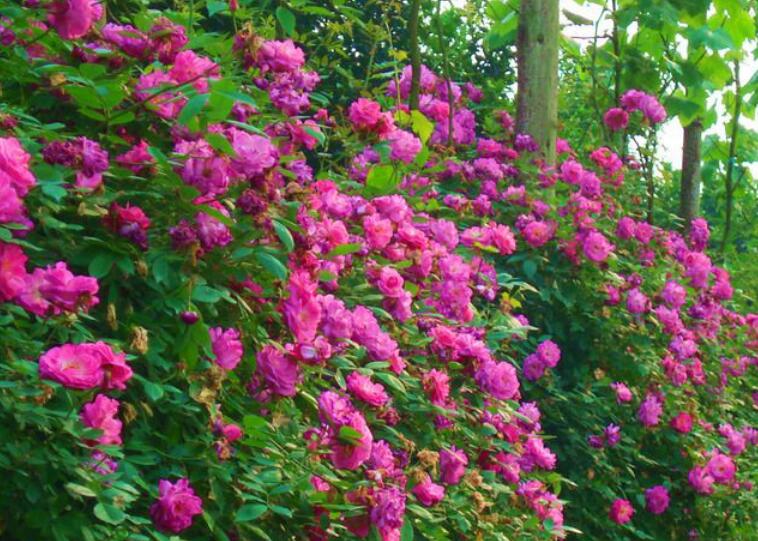 1638776926719641.jpg 1638776926719641.jpg