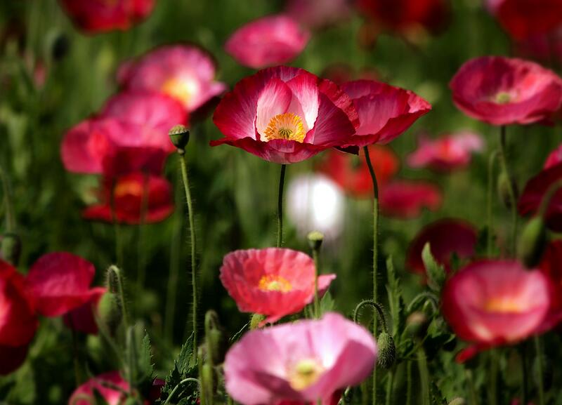 1638894968708617.jpg 1638894968708617.jpg