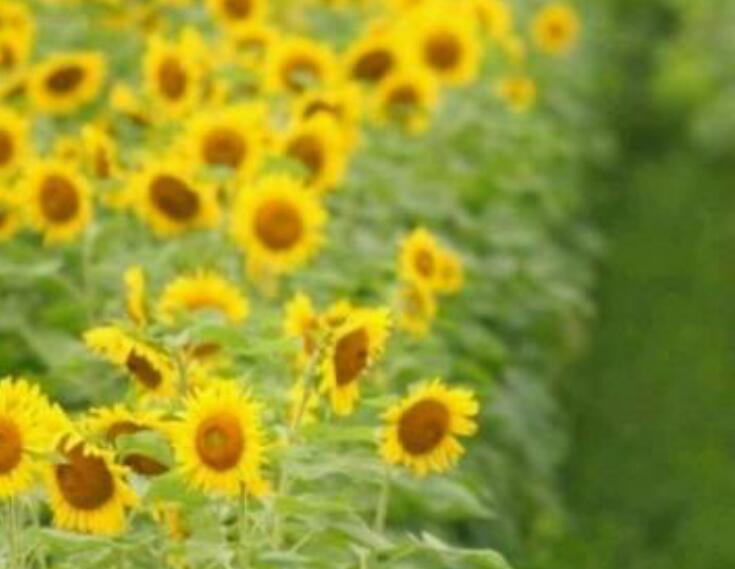 1639029716397473.jpg 1639029716397473.jpg